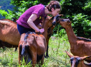 Alessia Berra Alessia Berra