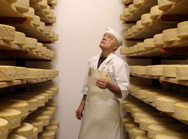 Della Savia Della Savia