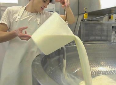 Casaro latteria castions Casaro latteria castions