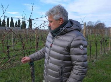 Dario Conte Dario Conte