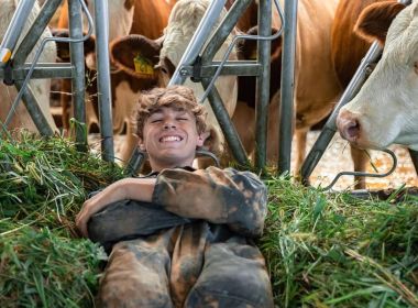 La fattoria di pavia La fattoria di pavia