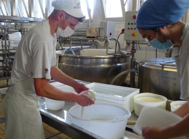 Latteria Lavariano Latteria Lavariano