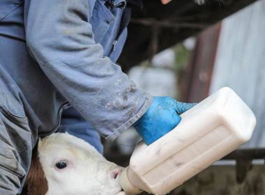 Cabas Simone Cabas Simone