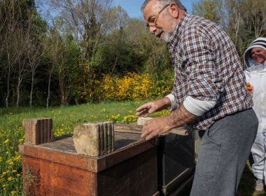 corrado dreosti azienda agricola dreosti corrado corrado dreosti azienda agricola dreosti corrado